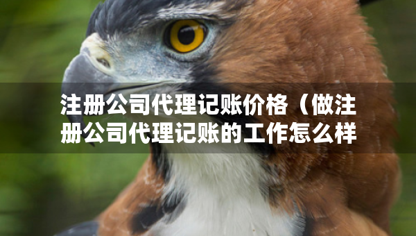 注冊(cè)公司代理記賬價(jià)格（做注冊(cè)公司代理記賬的工作怎么樣）