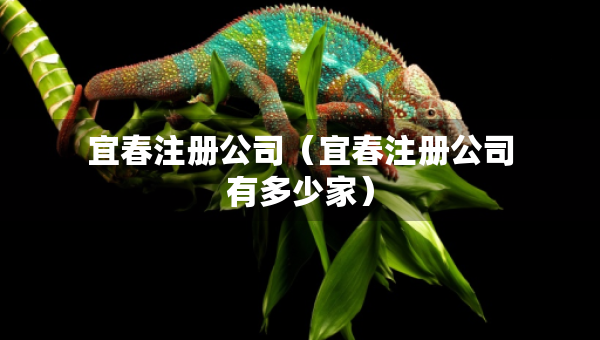宜春注冊公司（宜春注冊公司有多少家）