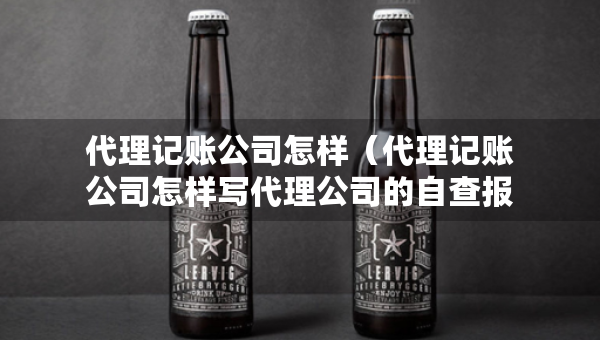 代理記賬公司怎樣（代理記賬公司怎樣寫代理公司的自查報(bào)告）