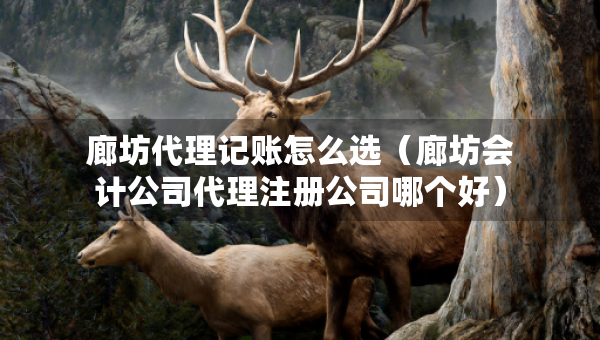 廊坊代理記賬怎么選（廊坊會(huì)計(jì)公司代理注冊(cè)公司哪個(gè)好）