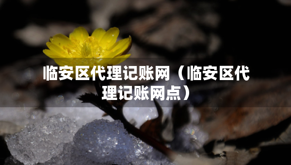 臨安區(qū)代理記賬網(wǎng)（臨安區(qū)代理記賬網(wǎng)點）