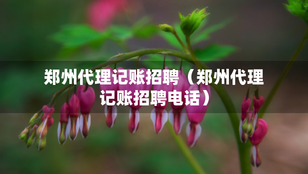 鄭州代理記賬招聘（鄭州代理記賬招聘電話）