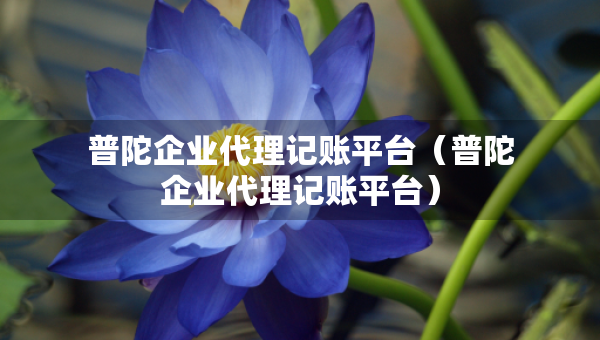 普陀企業(yè)代理記賬平臺（普陀企業(yè)代理記賬平臺）