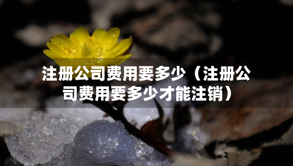 注冊(cè)公司費(fèi)用要多少（注冊(cè)公司費(fèi)用要多少才能注銷）