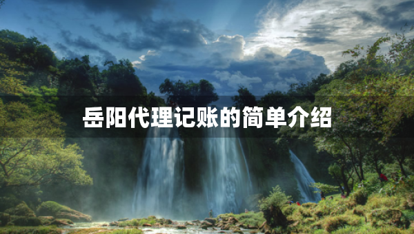 岳陽(yáng)代理記賬的簡(jiǎn)單介紹
