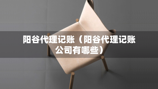 陽谷代理記賬（陽谷代理記賬公司有哪些）
