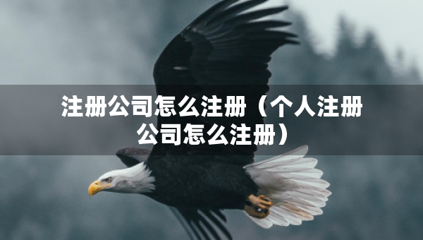 注冊(cè)公司怎么注冊(cè)（個(gè)人注冊(cè)公司怎么注冊(cè)）