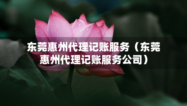 東莞惠州代理記賬服務(wù)（東莞惠州代理記賬服務(wù)公司）