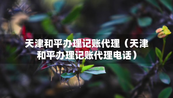 天津和平辦理記賬代理（天津和平辦理記賬代理電話）