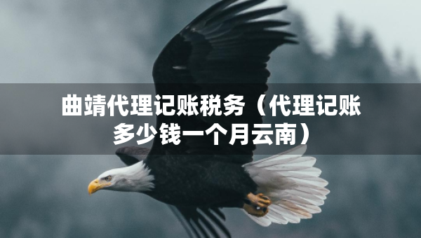 曲靖代理記賬稅務(wù)（代理記賬多少錢一個(gè)月云南）