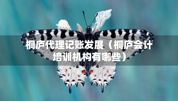 桐廬代理記賬發(fā)展（桐廬會(huì)計(jì)培訓(xùn)機(jī)構(gòu)有哪些）