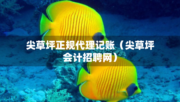 尖草坪正規(guī)代理記賬（尖草坪會計(jì)招聘網(wǎng)）