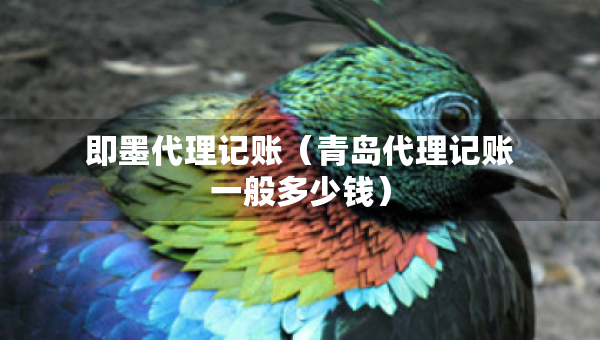 即墨代理記賬（青島代理記賬一般多少錢）