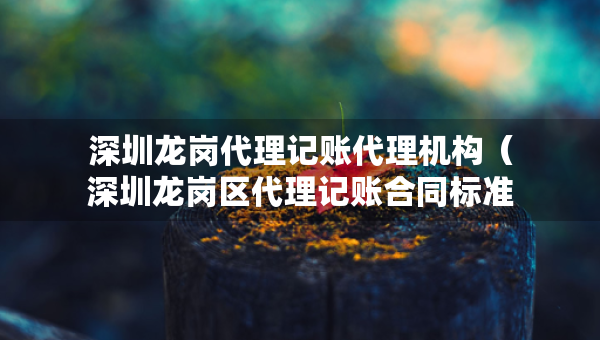 深圳龍崗代理記賬代理機(jī)構(gòu)（深圳龍崗區(qū)代理記賬合同標(biāo)準(zhǔn)版）