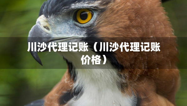 川沙代理記賬（川沙代理記賬價格）