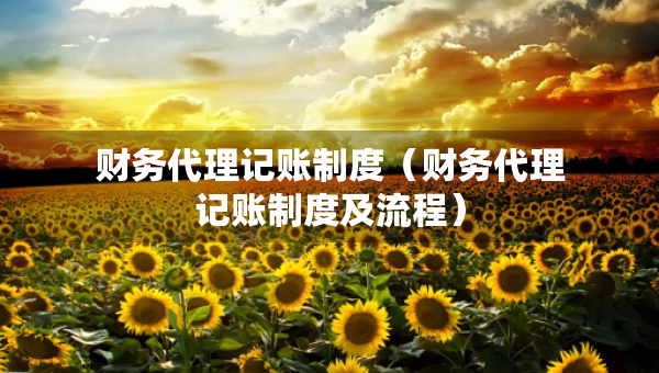 財(cái)務(wù)代理記賬制度（財(cái)務(wù)代理記賬制度及流程）
