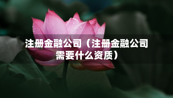 注冊金融公司（注冊金融公司需要什么資質(zhì)）