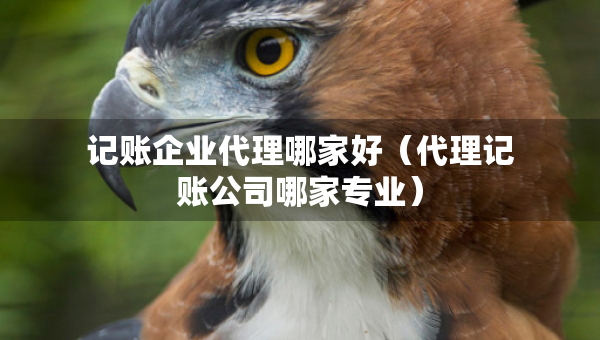 記賬企業(yè)代理哪家好（代理記賬公司哪家專業(yè)）