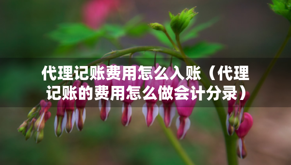 代理記賬費(fèi)用怎么入賬（代理記賬的費(fèi)用怎么做會(huì)計(jì)分錄）