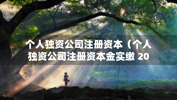 個(gè)人獨(dú)資公司注冊(cè)資本（個(gè)人獨(dú)資公司注冊(cè)資本金實(shí)繳 2024年）