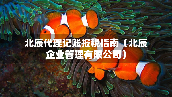 北辰代理記賬報(bào)稅指南（北辰企業(yè)管理有限公司）