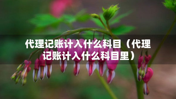 代理記賬計(jì)入什么科目（代理記賬計(jì)入什么科目里）