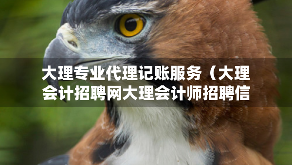 大理專業(yè)代理記賬服務（大理會計招聘網(wǎng)大理會計師招聘信息）