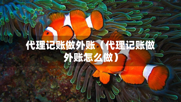 代理記賬做外賬（代理記賬做外賬怎么做）