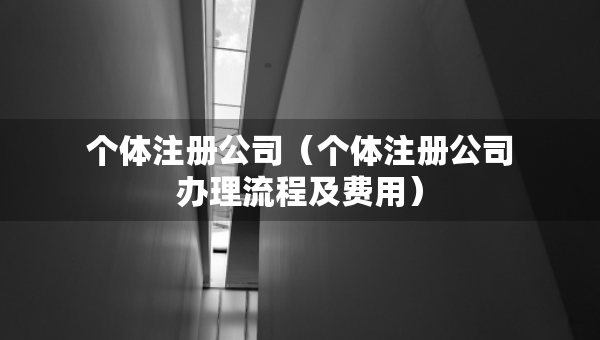 個體注冊公司（個體注冊公司辦理流程及費用）