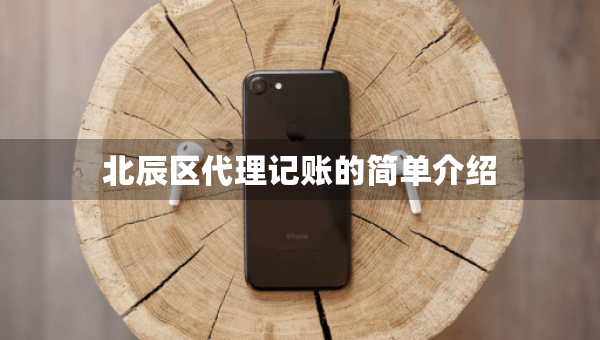 北辰區(qū)代理記賬的簡單介紹