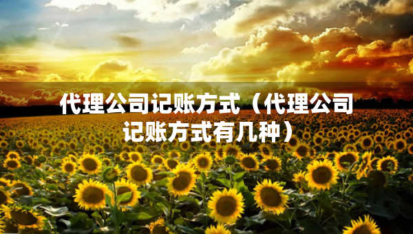 代理公司記賬方式（代理公司記賬方式有幾種）