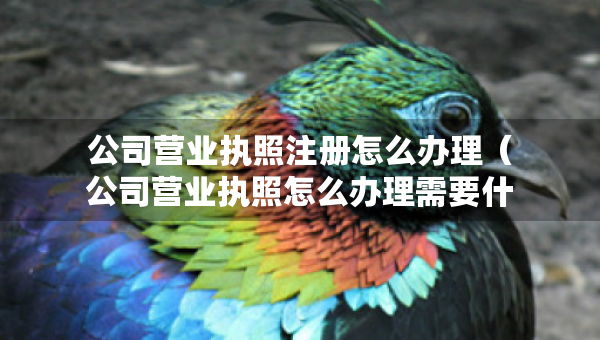 公司營(yíng)業(yè)執(zhí)照注冊(cè)怎么辦理（公司營(yíng)業(yè)執(zhí)照怎么辦理需要什么資料）