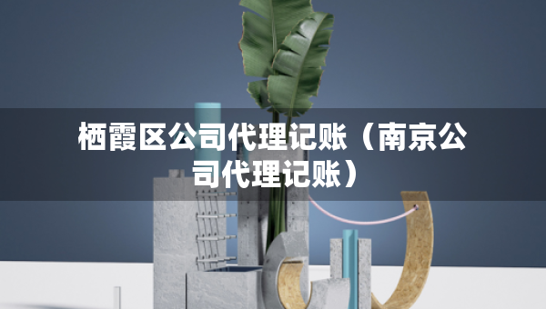 棲霞區(qū)公司代理記賬（南京公司代理記賬）