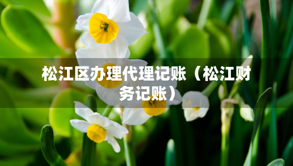 松江區(qū)辦理代理記賬（松江財(cái)務(wù)記賬）