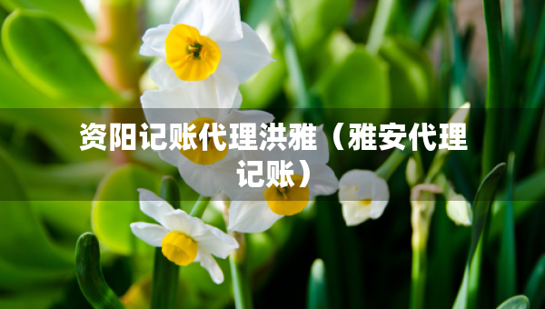 資陽記賬代理洪雅（雅安代理記賬）