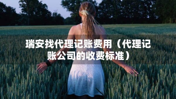 瑞安找代理記賬費(fèi)用（代理記賬公司的收費(fèi)標(biāo)準(zhǔn)）