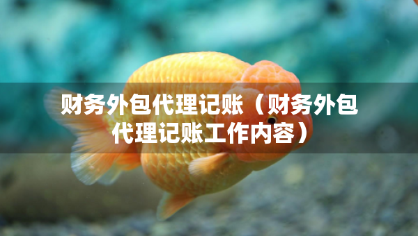 財(cái)務(wù)外包代理記賬（財(cái)務(wù)外包代理記賬工作內(nèi)容）
