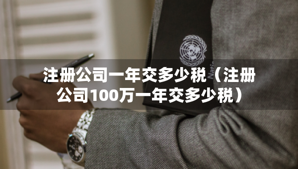 注冊公司一年交多少稅（注冊公司100萬一年交多少稅）