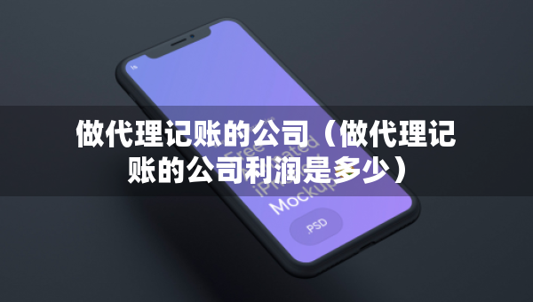 做代理記賬的公司（做代理記賬的公司利潤是多少）