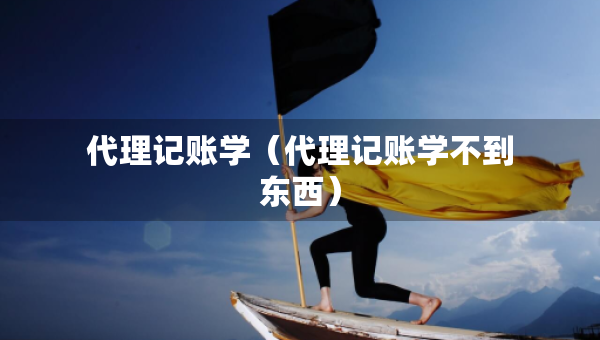 代理記賬學（代理記賬學不到東西）