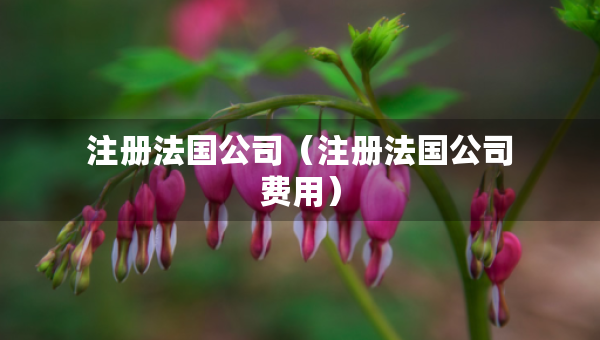 注冊(cè)法國(guó)公司（注冊(cè)法國(guó)公司費(fèi)用）