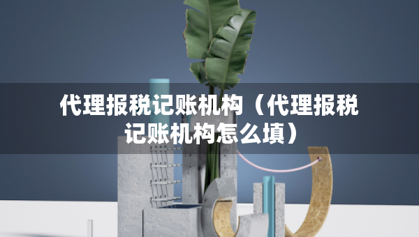 代理報(bào)稅記賬機(jī)構(gòu)（代理報(bào)稅記賬機(jī)構(gòu)怎么填）