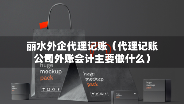 麗水外企代理記賬（代理記賬公司外賬會(huì)計(jì)主要做什么）