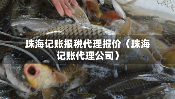 珠海記賬報(bào)稅代理報(bào)價(jià)（珠海記賬代理公司）