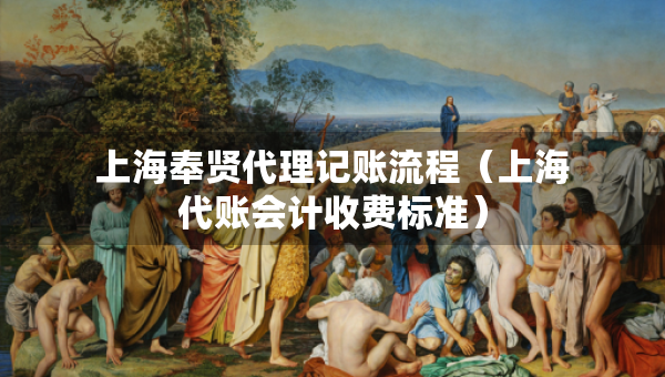 上海奉賢代理記賬流程（上海代賬會計收費標準）