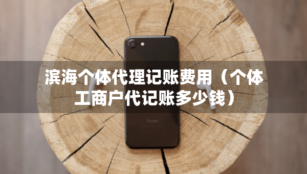 濱海個(gè)體代理記賬費(fèi)用（個(gè)體工商戶代記賬多少錢）