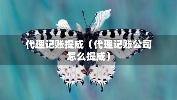 代理記賬提成（代理記賬公司怎么提成）