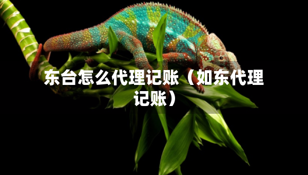 東臺怎么代理記賬（如東代理記賬）