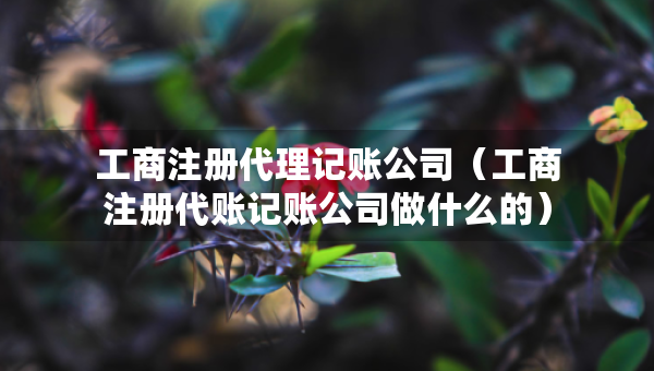 工商注冊代理記賬公司（工商注冊代賬記賬公司做什么的）