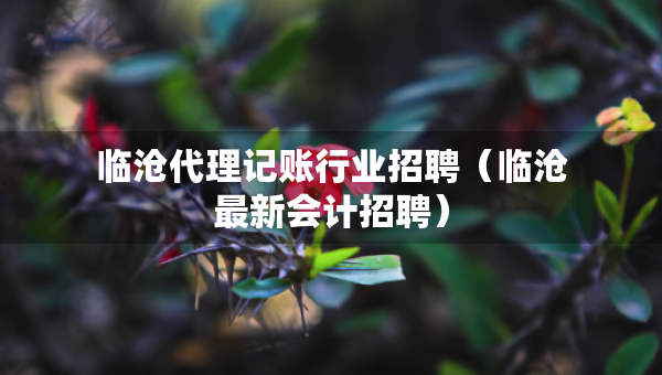 臨滄代理記賬行業(yè)招聘（臨滄最新會計招聘）
